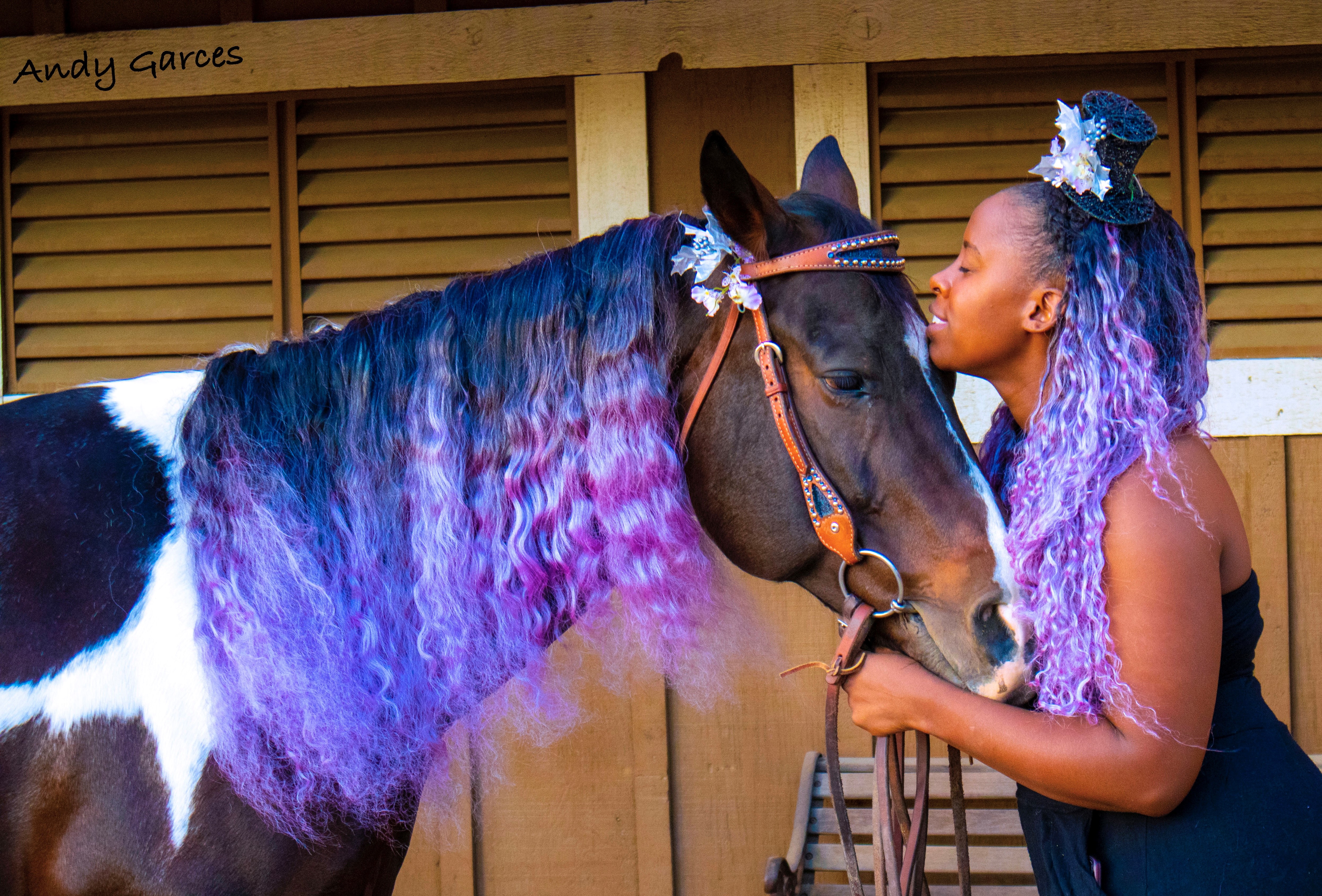 Meet the Black equestrian who designs manes and tail extensions -  Marketplace